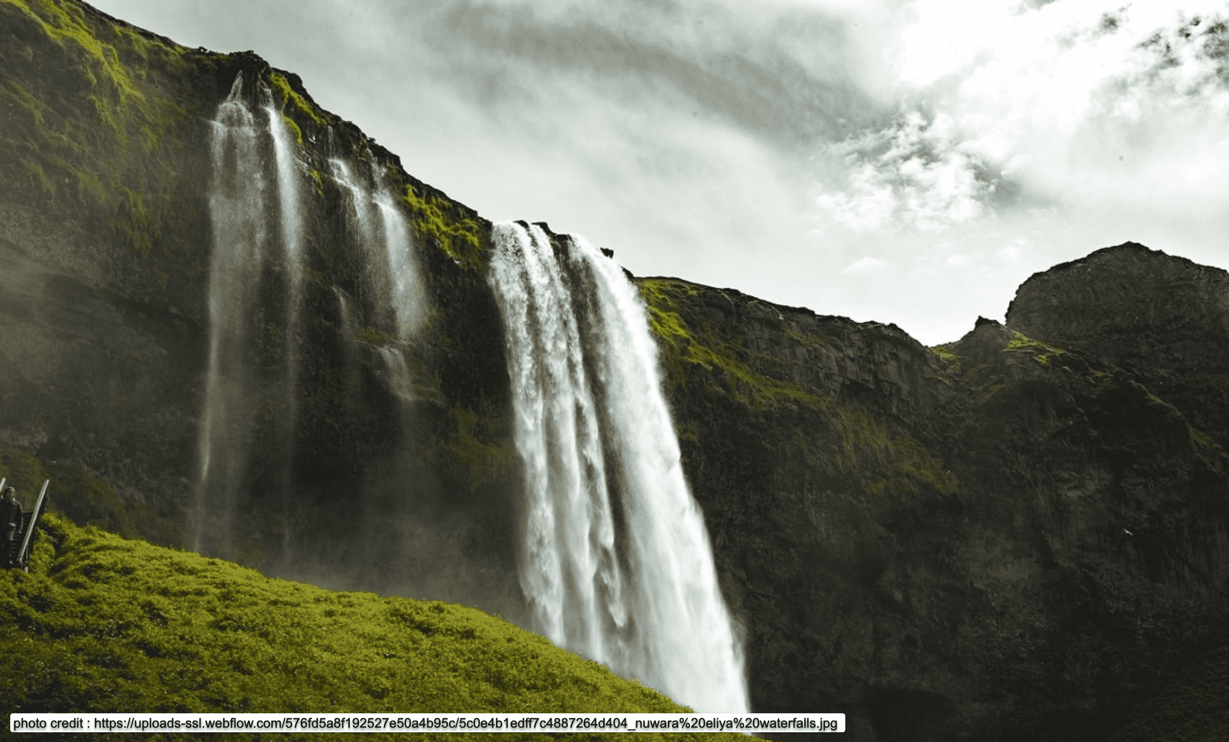Bootstrap template